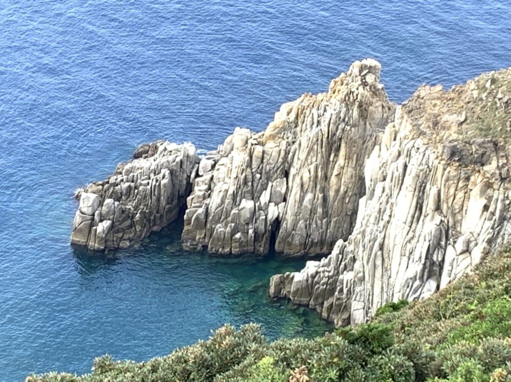 沖の島2