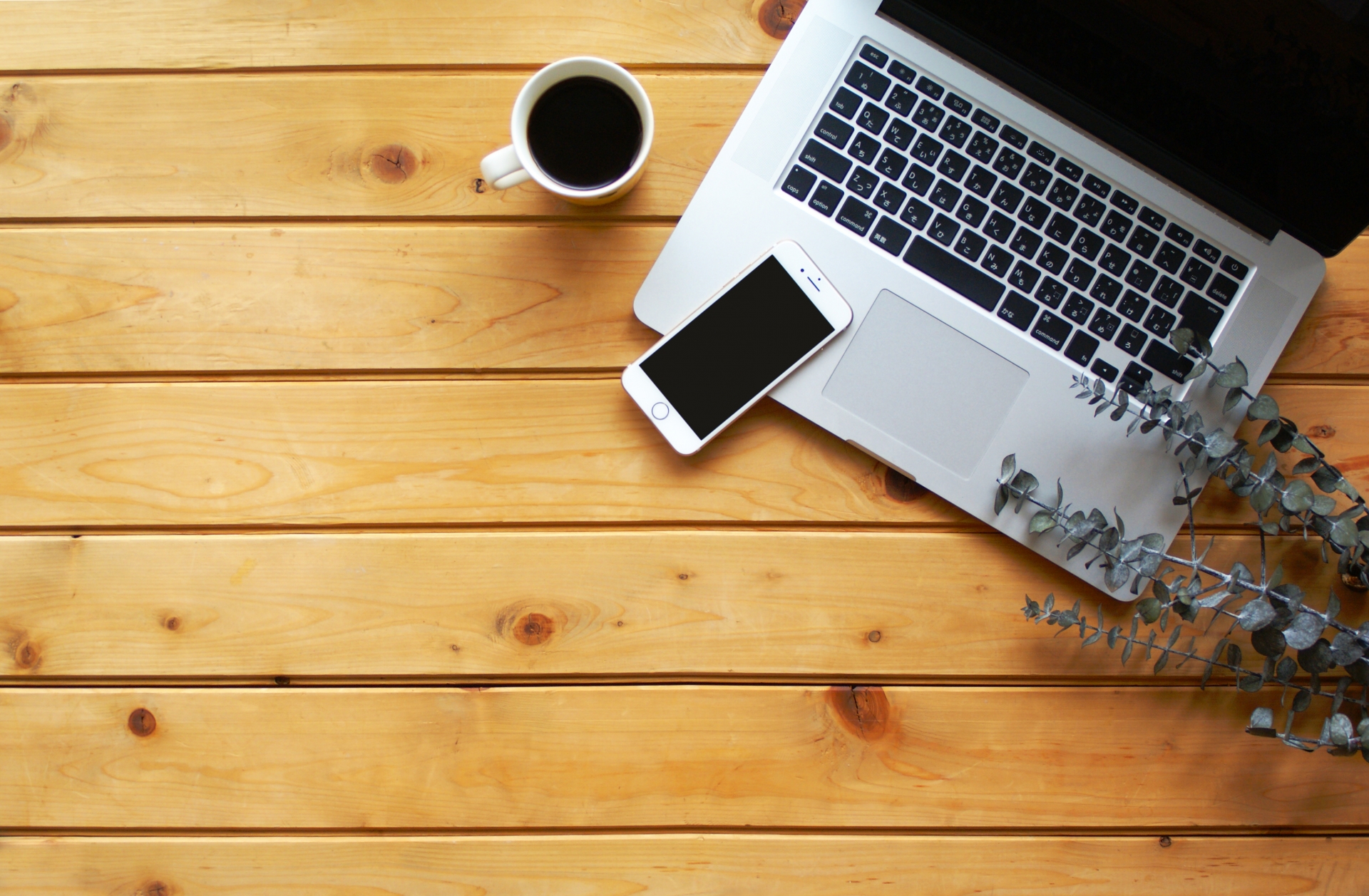 フリーランス出戻り